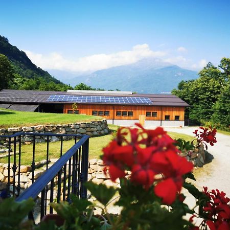 Agriturismo La Ca' D'Amelio Lessolo المظهر الخارجي الصورة