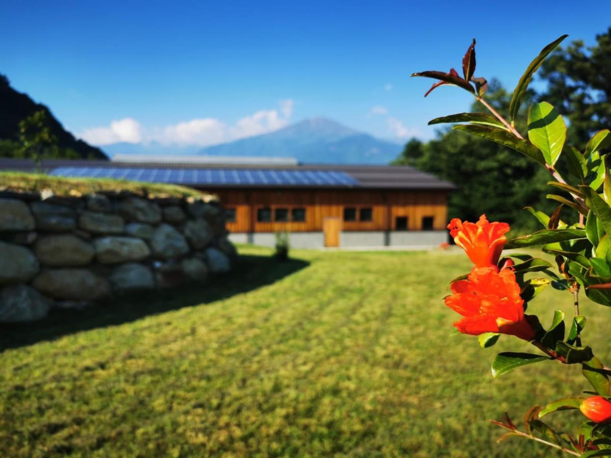 Agriturismo La Ca' D'Amelio Lessolo المظهر الخارجي الصورة